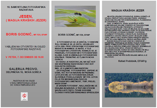 fkng-boris-pecivo2012