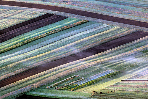 zdenka sfiligoj C1 Fields