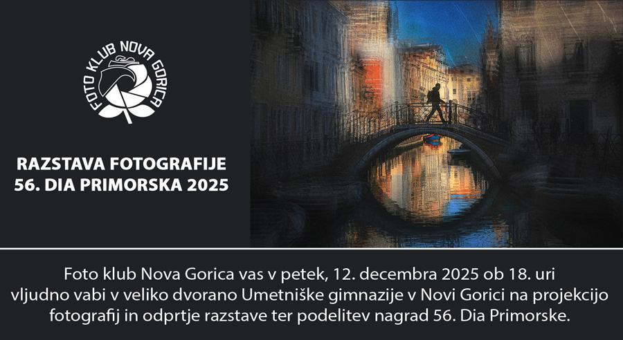 vabilo razstava dia 2025